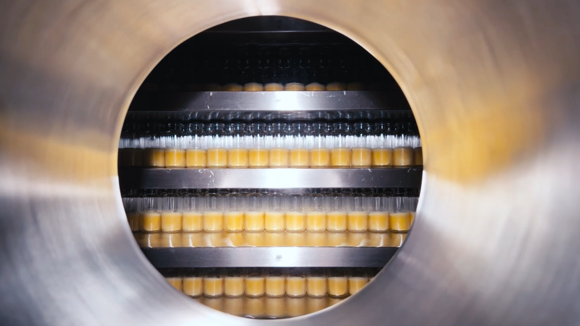 Lyo_1 Image of vials filled with biologic product inside of a lyophilizer.